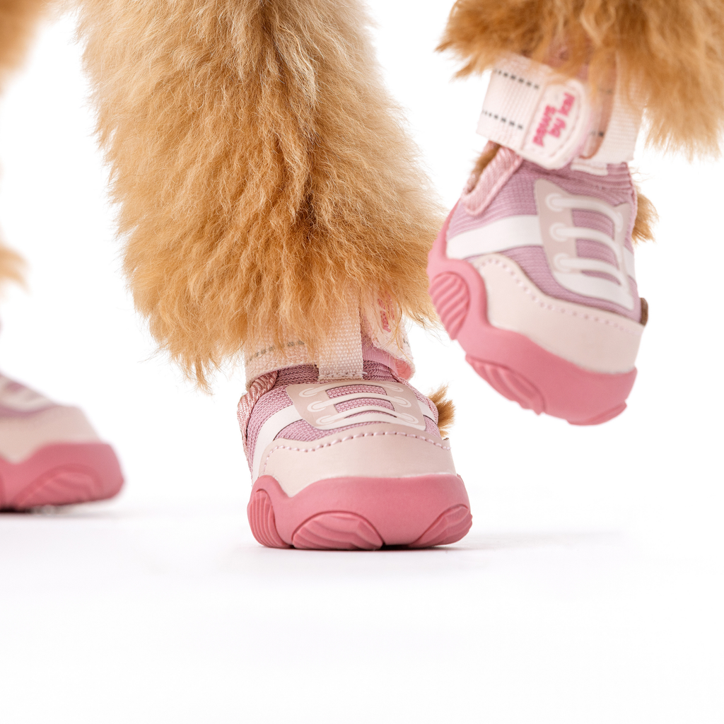 The Kai- Dog Sneaker