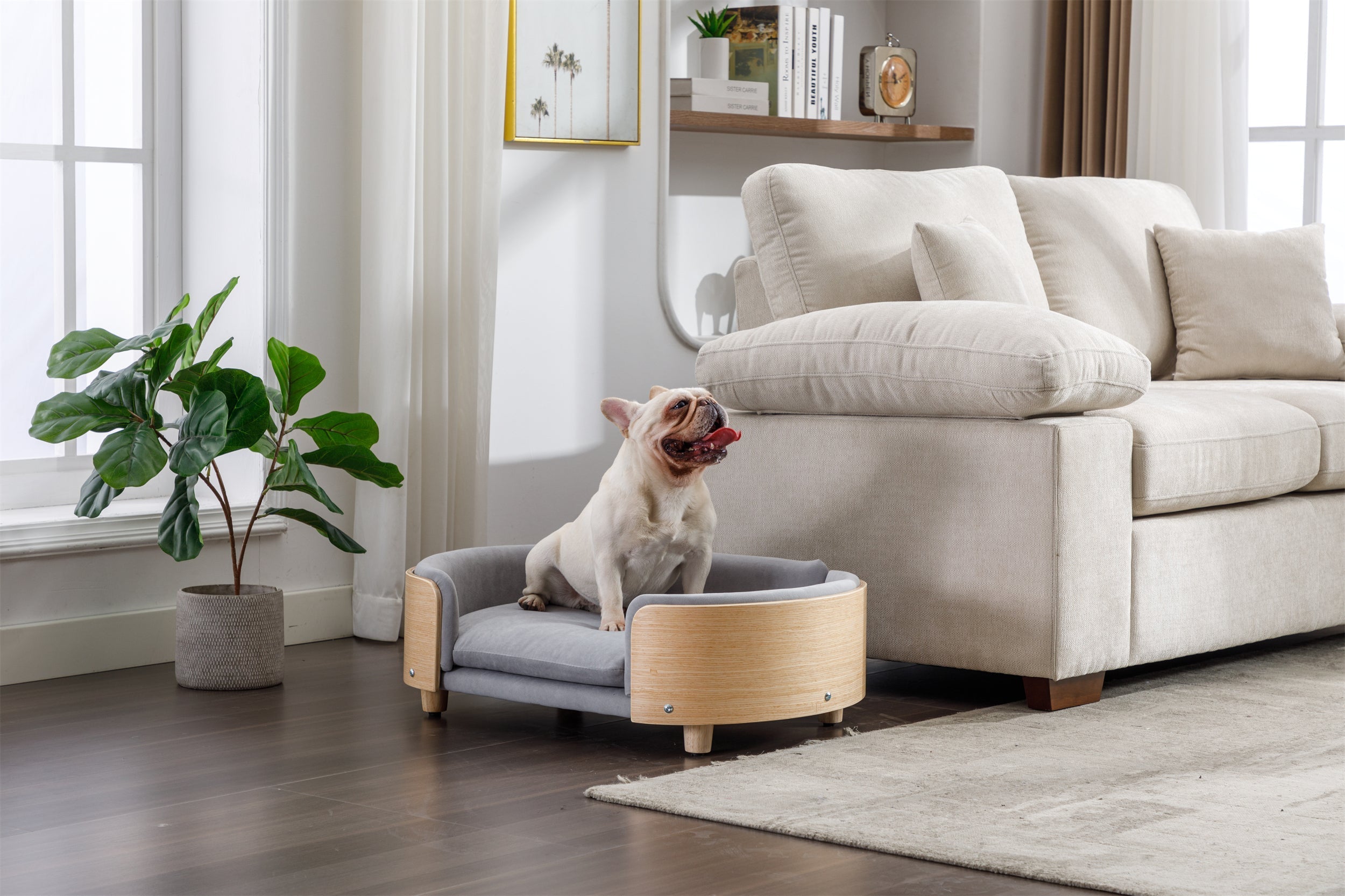 Scandinavian Style Elevated Dog Bed Pet Sofa Velvet Cushion Mid Size Light Grey