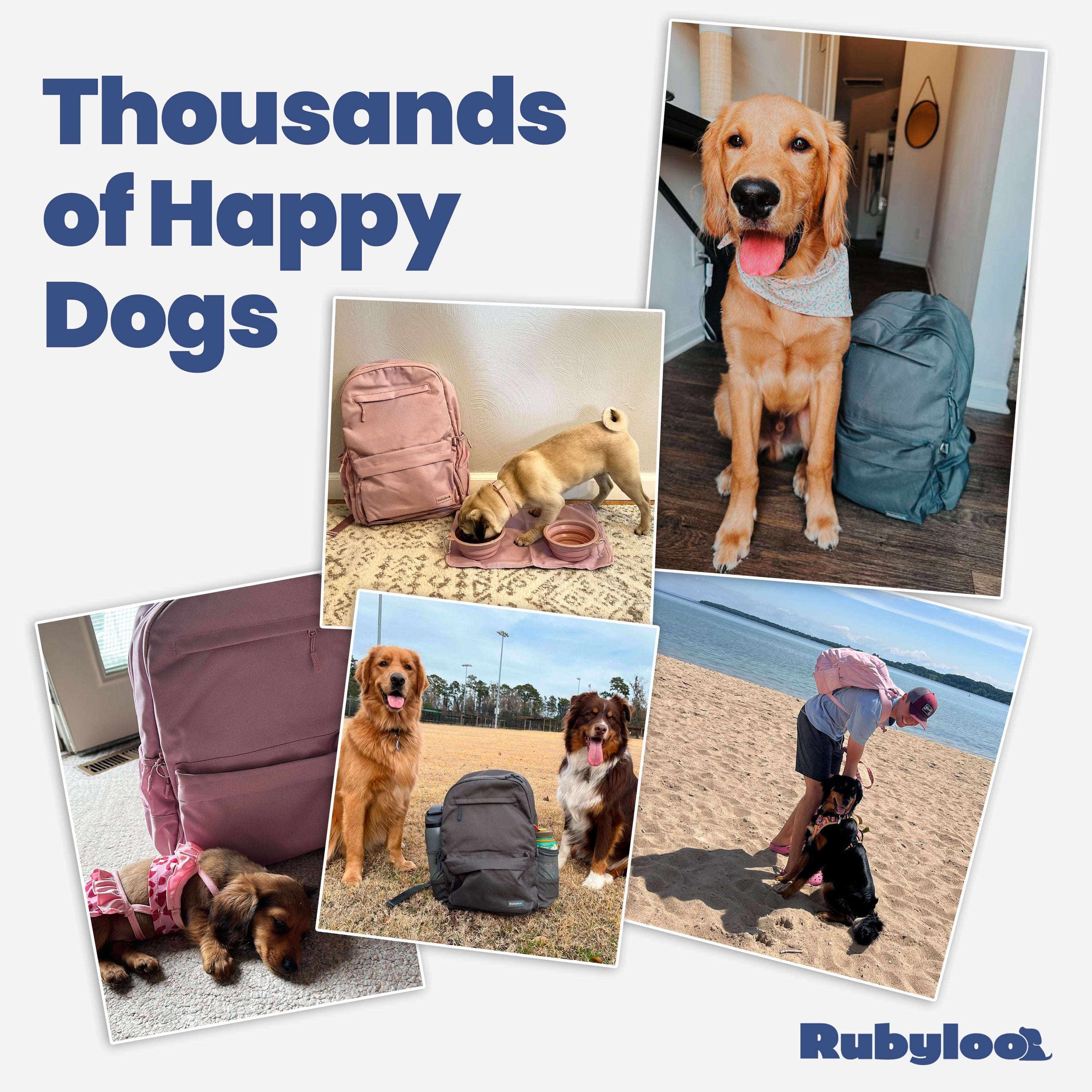 The Original Doggy Bag™ Backpack for Dog Supplies