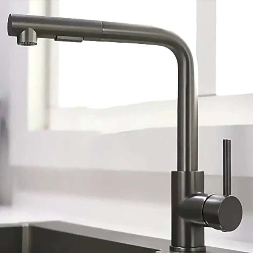 304 Stainless Steel Black Kitchen Faucet Two Function Single Handle Pull Out Mixer Hot and Cold Water Taps Deck Mounted