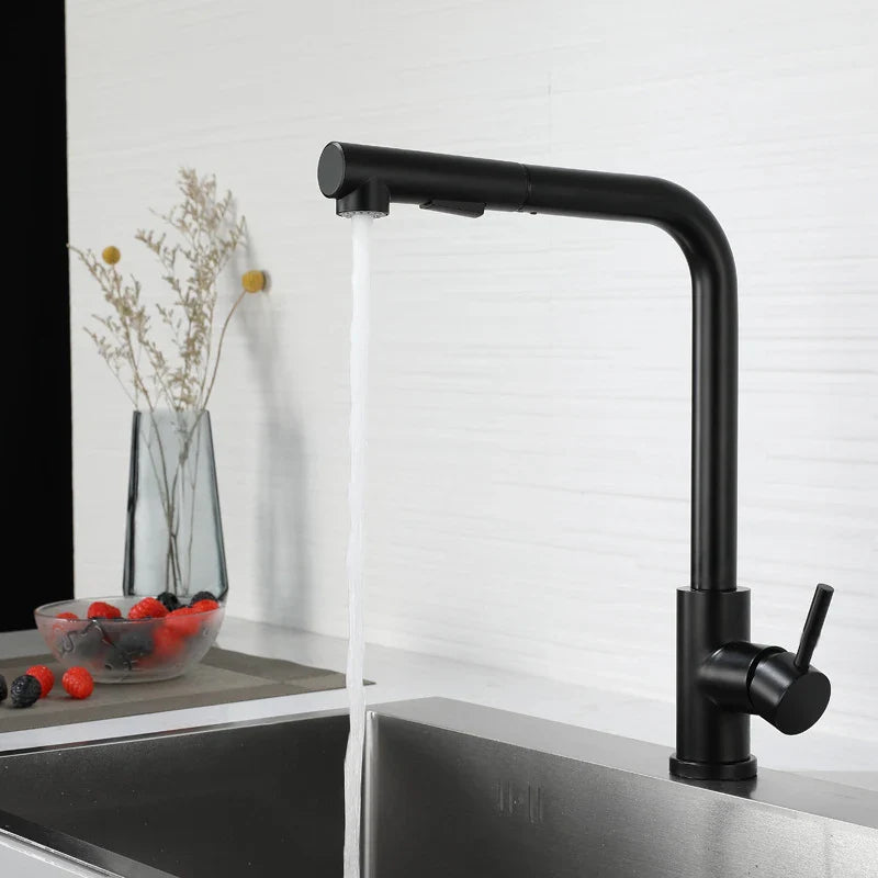 304 Stainless Steel Black Kitchen Faucet Two Function Single Handle Pull Out Mixer Hot and Cold Water Taps Deck Mounted