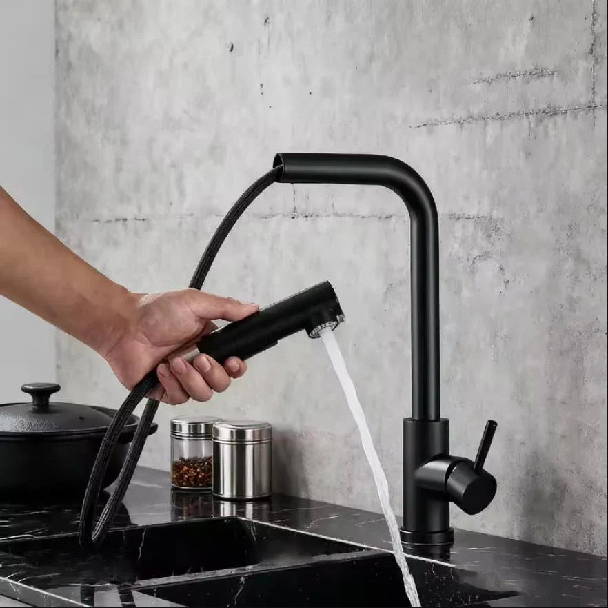 304 Stainless Steel Black Kitchen Faucet Two Function Single Handle Pull Out Mixer Hot and Cold Water Taps Deck Mounted